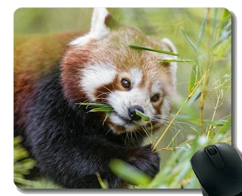 Подложка за мишка с прошитым ръба, едно животно в зряла възраст панда, подложка за мишка, нескользящая гумена основа, подложка за мишка за лаптоп, компютър
